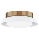 Troy Lighting Arnie Flush Mount