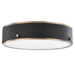 Troy Lighting Eli Flush Mount