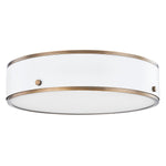 Troy Lighting Eli Flush Mount