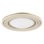 Troy Lighting Zion LED Flush Ceiling Mount