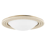 Troy Lighting Zion LED Flush Ceiling Mount