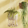 Boston Fern Drop-in Faux Plant