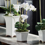 Barclay Butera Phalaenopsis In Ceramic Pot