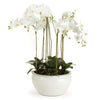 Barclay Butera Phalaenopsis In Ceramic Bowl