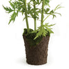 Delphinium Drop-In Faux Plant