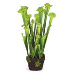 Sarracenia Drop-In Faux Plant