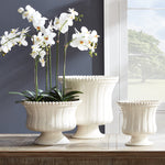 Phalaenopsis Bowl Drop-In Faux Plant