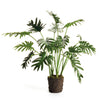 Split Leaf Selloum Drop-In Faux Plant