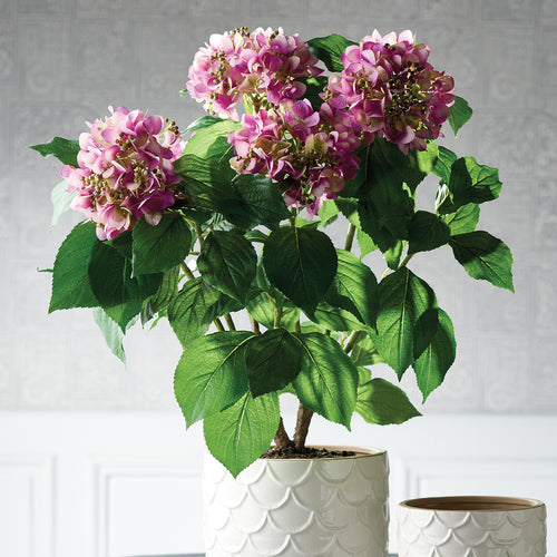 Hydrangea Drop-In Faux Plant