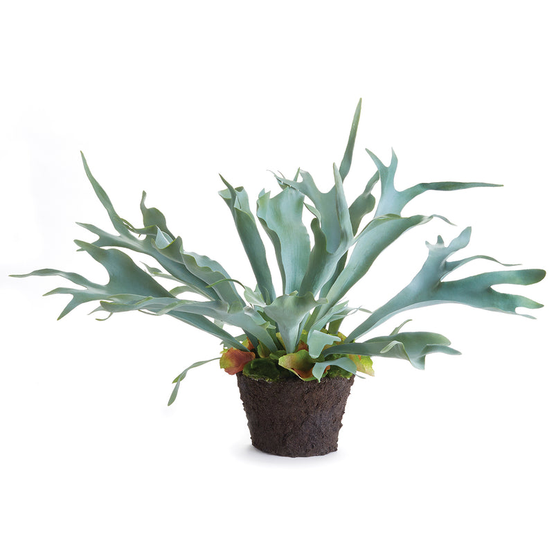 Staghorn Fern Drop-In Faux Plant