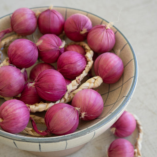 Artificial Purple Onion Set of 12