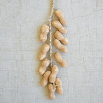 Artificial Peanut Set of 12