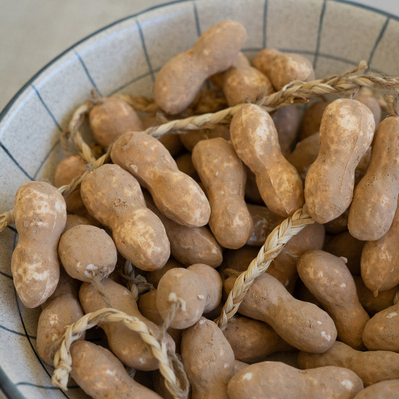 Artificial Peanut Set of 12