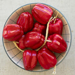 Artificial Red Bell Pepper Set of 12