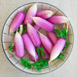 Artificial Radish Set of 12