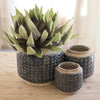 Dark Blue Knobby Pot Set of 3