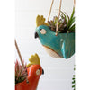 Bird Hanging Planter Set of 2