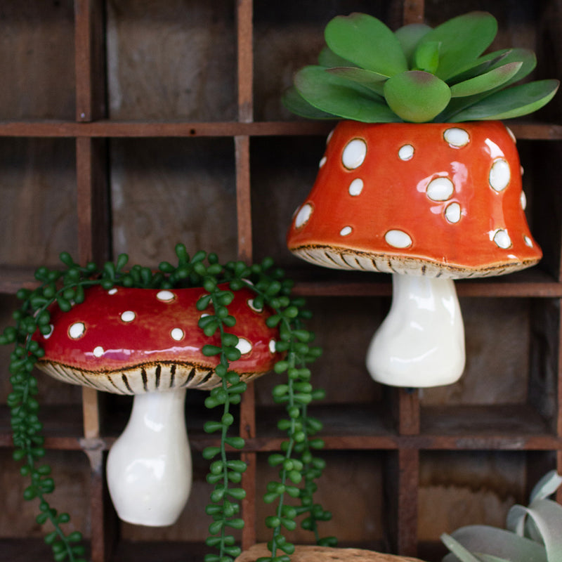 Toadstool Wall Planter Set of 2