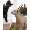 Dog Planter Set of 5