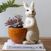 Rabbit Planter