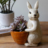 Rabbit Planter