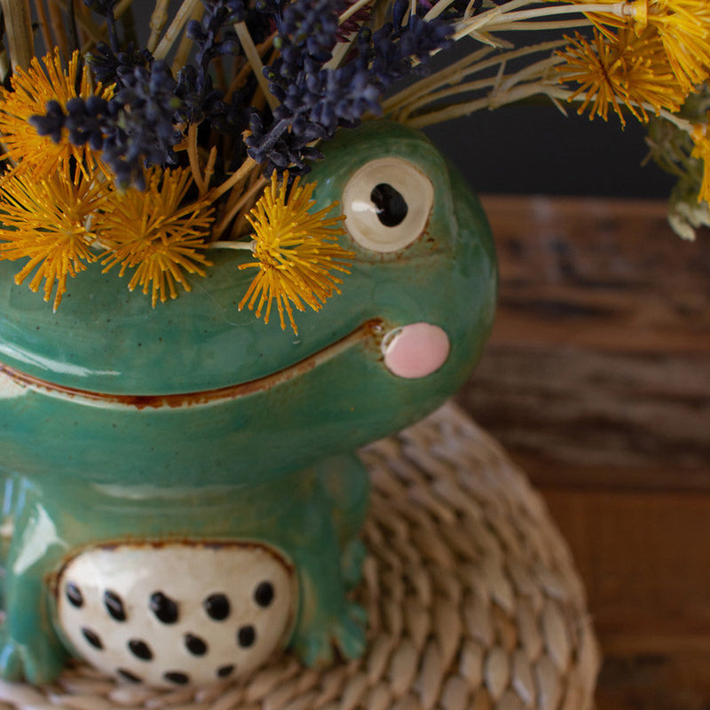 Quirky Frog Planter