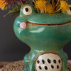 Quirky Frog Planter