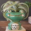 Quirky Frog Planter