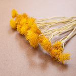 Yellow Mini Flowers Faux Plant Stem Bundle Set of 6