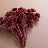 Burgundy Mini Flowers Faux Stem Bundle Set of 6