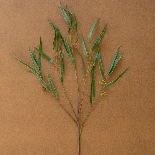 Artificial Seeded Eucalyptus Spray Set of 6