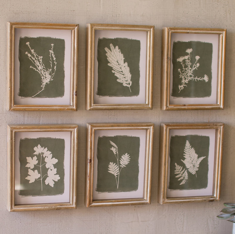 Fern Print Wall Art Set of 6