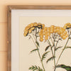 Flower Print Square Framed Art Set of 4