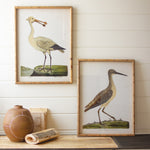 Shorebird Framed Art Set of 2