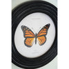 Round Butterfly Wall Art Set of 4