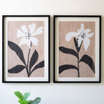 Framed Flower Print Under Glass Framed Artwork Set of 2