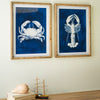 Crustation Prints Under Glass Set of 2