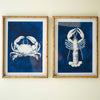 Crustation Prints Under Glass Set of 2