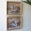 Pelican Framed Artwork Set of 2