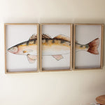 Triptych Trout Framed Artwork Set of 3