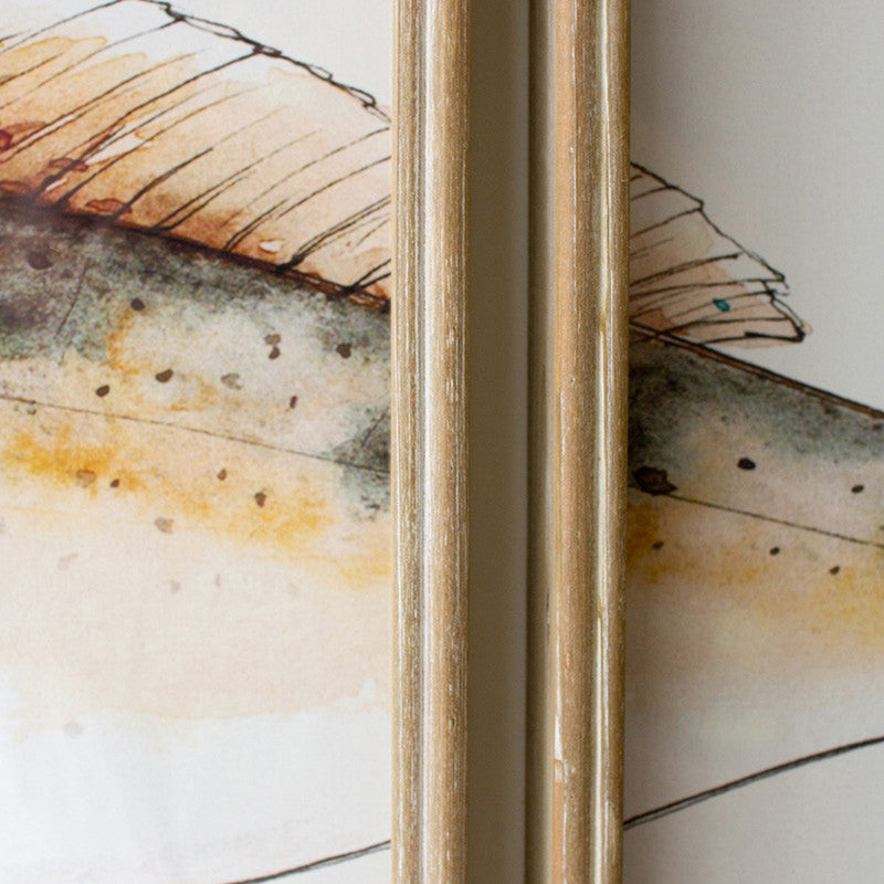 Triptych Trout Framed Artwork Set of 3