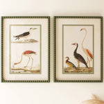 Bird Print Framed Artwork Set of 2