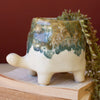 Turtle Ceramic Vase