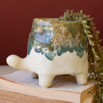 Turtle Ceramic Vase