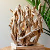 Driftwood Willow Root Candle Holder Set of 2