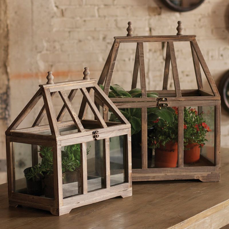 Wood & Glass Terrarium Set of 2