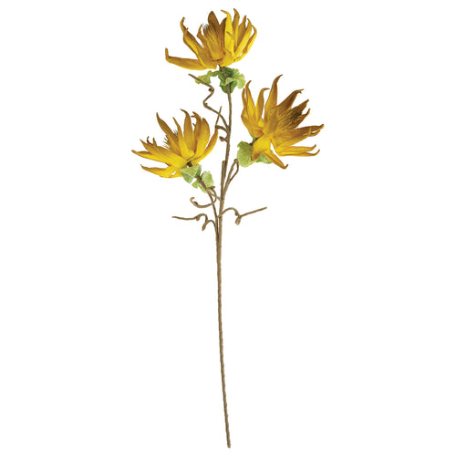 Dried Sunflower Faux Plant Stem Set of 6