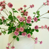 Pink Spiky Faux Plant Stem Set of 6