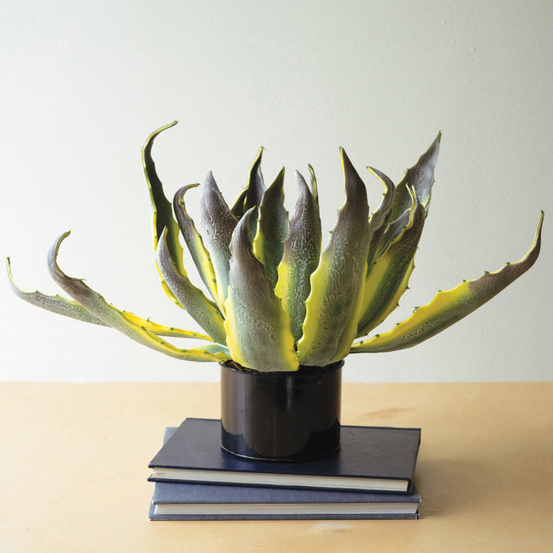 Agave Potted Faux Plant Set of 4