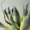 Agave Potted Faux Plant Set of 4